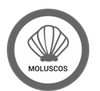 Moluscos